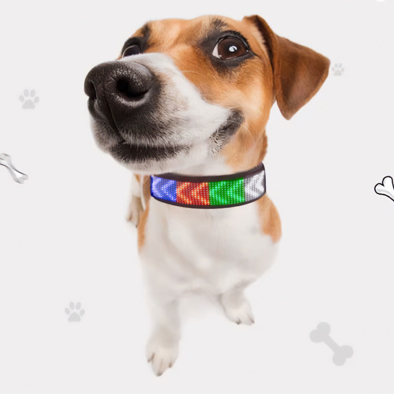 Coleira Pet Virtua Fx - Colar Led Personalizável